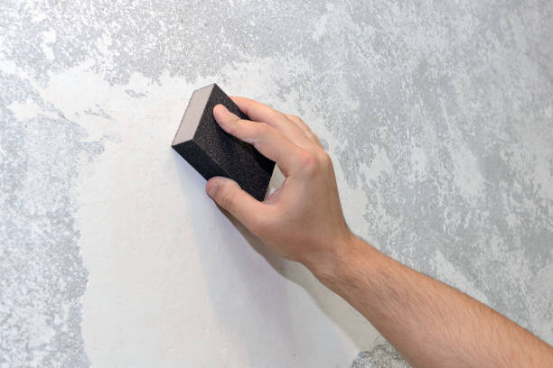 Best HVAC Mold Inspection and Cleaning  in Rice Lake, MN