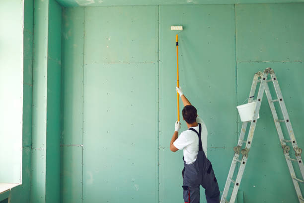 Best Dehumidification Services  in Rice Lake, MN