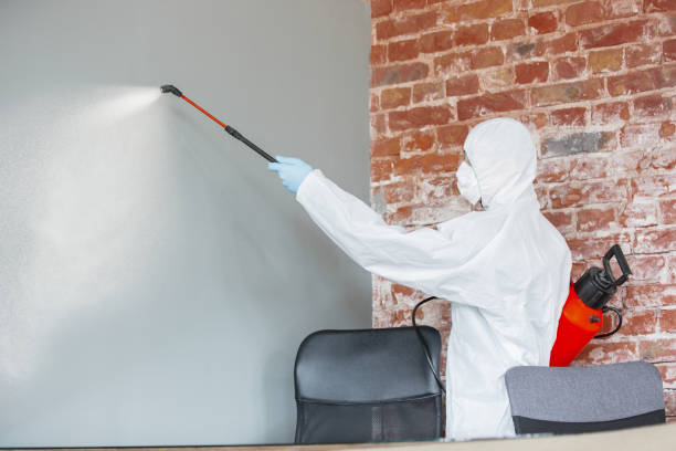 Best Mold Prevention Services  in Rice Lake, MN