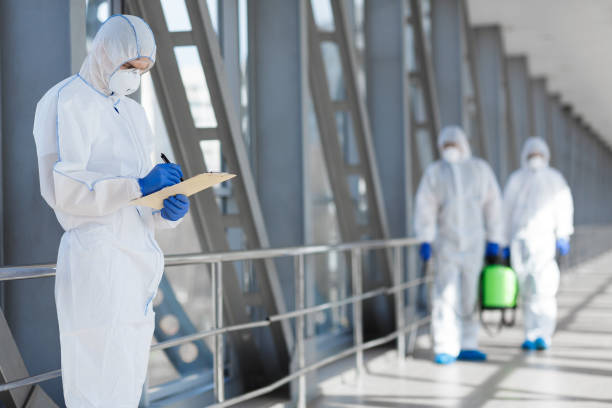 Best Post-Remediation Verification Testing  in Rice Lake, MN