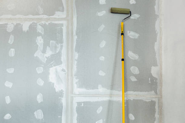 Best Industrial Mold Remediation  in Rice Lake, MN