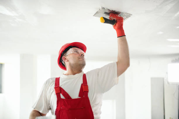 Best Emergency Mold Remediation  in Rice Lake, MN