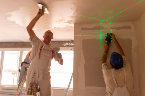 Best Mold Documentation for Insurance Claims  in Rice Lake, MN
