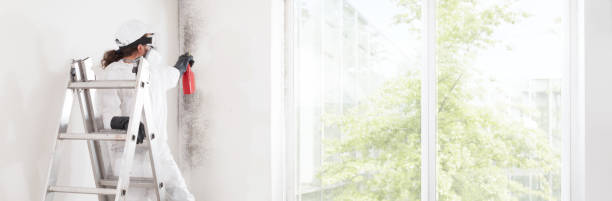 Best Real Estate Mold Inspection  in Rice Lake, MN