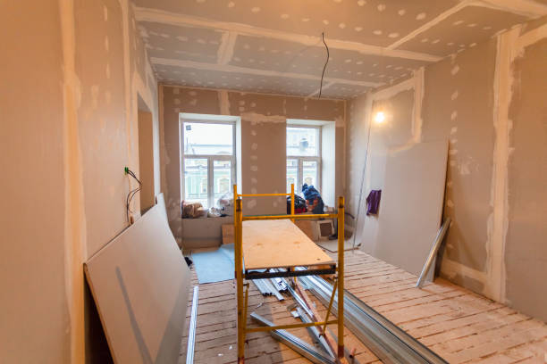Best Post-Construction Mold Inspection  in Rice Lake, MN