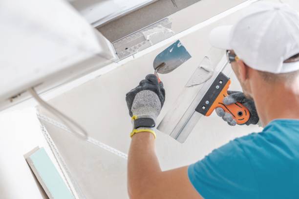 Best Water Damage & Mold Remediation  in Rice Lake, MN